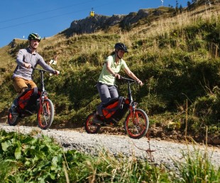 Backpack Folding Bicycle