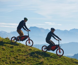 Backpack Folding Bicycle