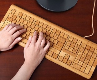 Bamboo Peripherals by Sanyo (3)