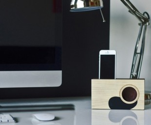 Palmer Acoustic iPhone Dock