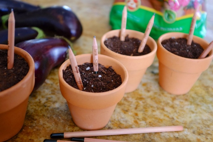 Sprout – A Pencil That Grows