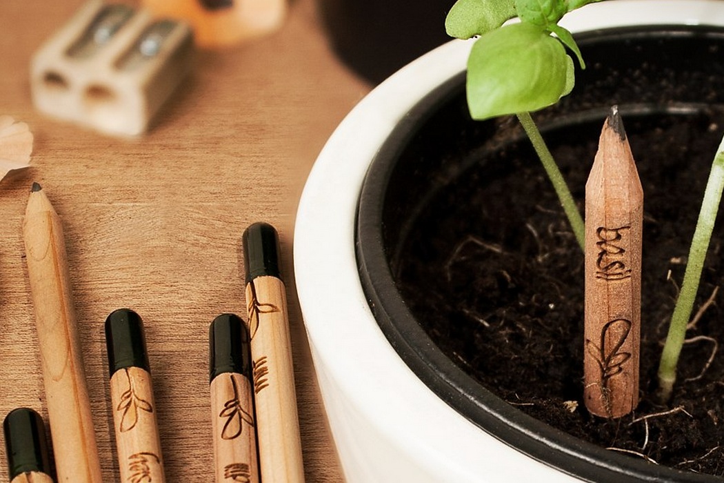 Sprout – A Pencil That Grows