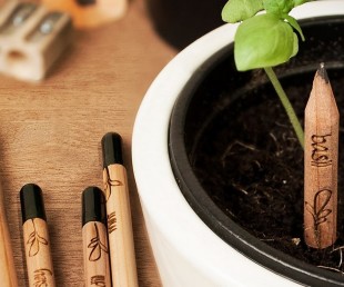 Sprout – A Pencil That Grows