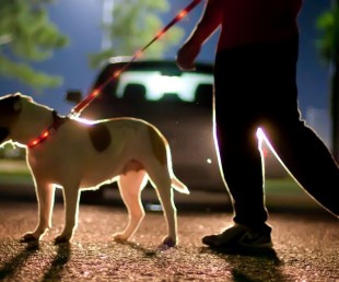 LED Lighted Dog Leash Collar By Dog-E-Glow