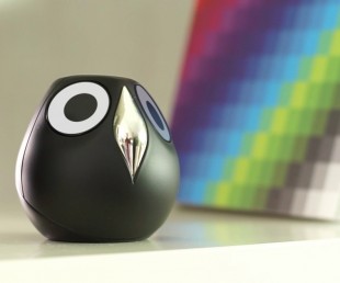 Ulo Is A Pet Owl Surveillance Camera With Attitude (6)