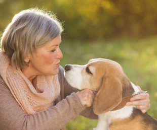 How Effective Of A Treatment Is Pet Therapy For The Elderly