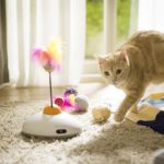 Pawbo Catch Cat Teaser Toy (3)